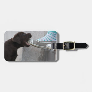 Étiquette À Bagage Sucré Hungry Brown Labrador Puppy