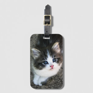 Étiquette À Bagage SUPER CUTE Kitten Portrait