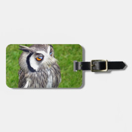 Étiquette À Bagage Superbe Petite Chouette