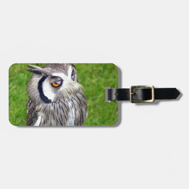 Étiquette À Bagage Superbe Petite Chouette (Devant horizontal)