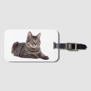 Étiquette À Bagage Tabby Gris