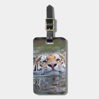 Étiquette À Bagage TigreNatation20150901
