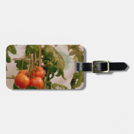 Étiquette À Bagage Tomates Sur La Vigne