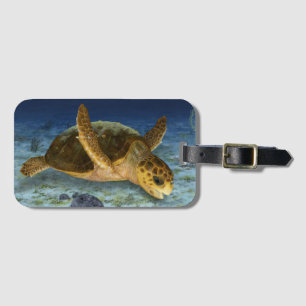 Étiquette À Bagage Tortue de mer d'imbécile dans l'étiquette de