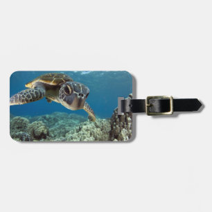 Étiquette À Bagage Tortue de mer verte hawaïenne