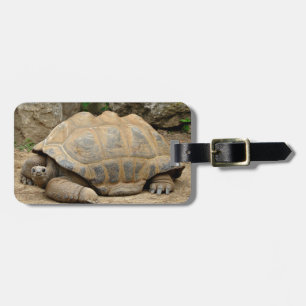 Étiquette À Bagage Tortue souriante 
