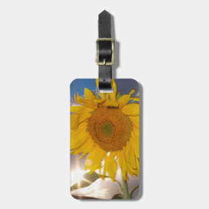 Étiquette À Bagage Tournesol hybride soufflant dans le vent au crépus