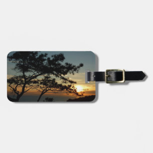 Étiquette À Bagage Tourrey Pine Sunset I California Paysage