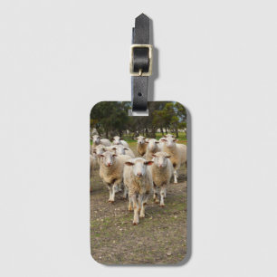 Étiquette À Bagage Troupeau de moutons laineux blancs,