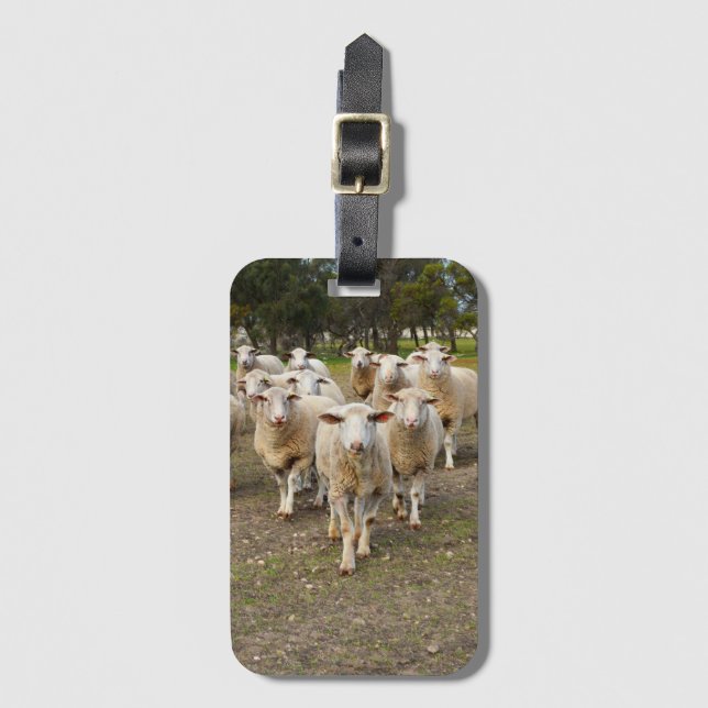 Étiquette À Bagage Troupeau de moutons laineux blancs, (Devant Vertical)