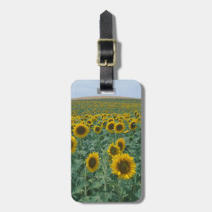 Étiquette À Bagage UE, France, Provence, Champ de tournesols