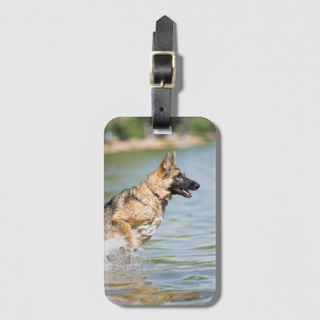 Étiquette À Bagage Un berger allemand se jette dans l'eau (Devant Vertical)