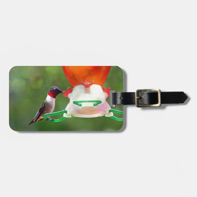 Étiquette À Bagage Un colibri à gorge rubis (Devant horizontal)