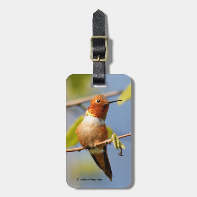 Étiquette À Bagage Un Curieux Colibri Roux (Devant Vertical)