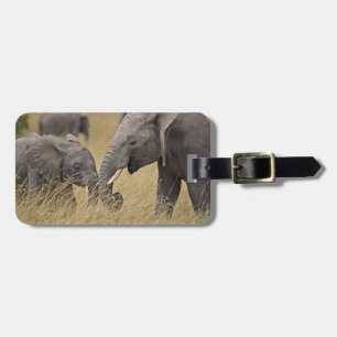 Étiquette À Bagage Un éléphant africain paissant dans les champs