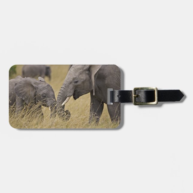 Étiquette À Bagage Un éléphant africain paissant dans les champs (Devant horizontal)