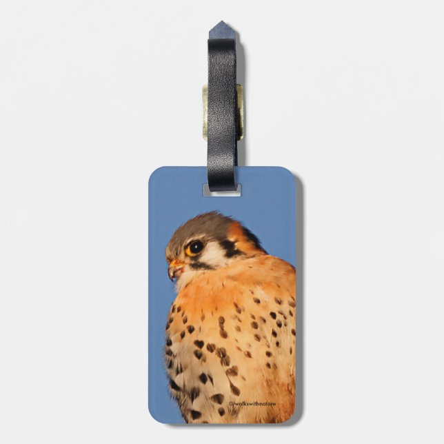 Étiquette À Bagage Un Kestrel Américain sur un fil (Dos Vertical)
