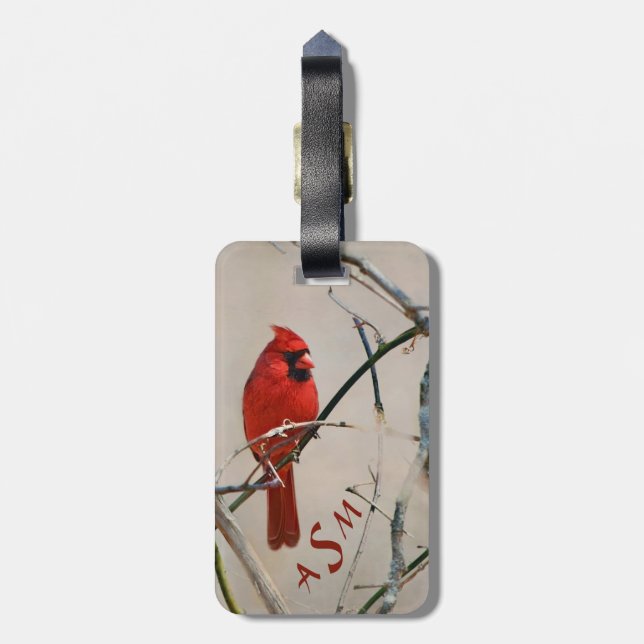 Étiquette À Bagage Un oiseau cardinal rouge sur une branche dans les  (Dos Vertical)