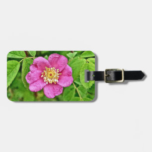 Étiquette À Bagage Un Rose sauvage