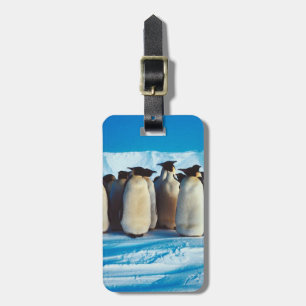 Étiquette À Bagage Une baraque de pingouins
