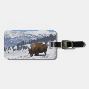 Étiquette À Bagage USA, WY, Yellowstone NP, American Bison Bison