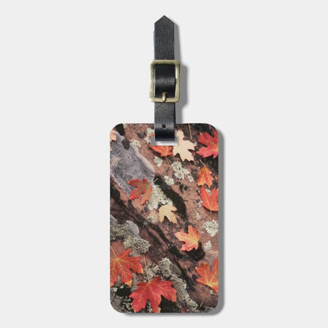 Étiquette À Bagage Utah, Parc national de Sion, Motifs de l'automne (Devant Vertical)