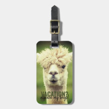 Vacances Alpaca Mon Sacs Vert