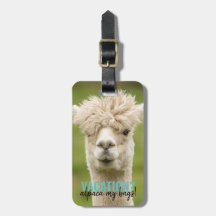 Vacances vertes Alpaca