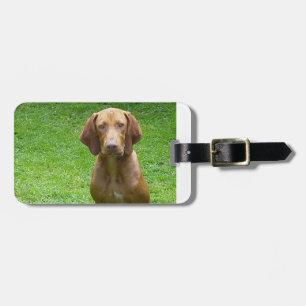 Étiquette À Bagage vizsla assis.png