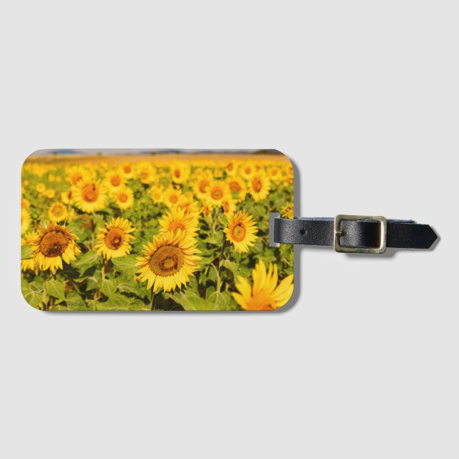 Étiquette À Bagage Voyage cadeau à thème avec Tournesol Photo (Devant Horizontal)