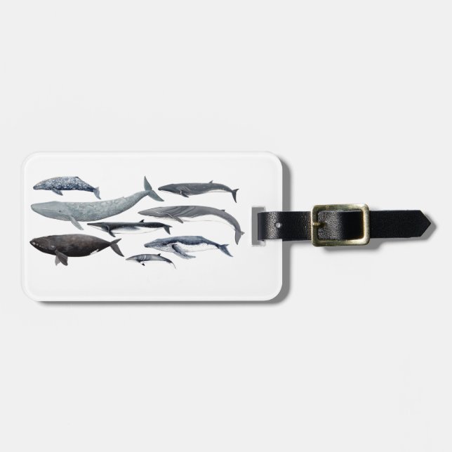 Étiquette À Bagage Whales and right whales (Devant horizontal)