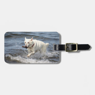 Étiquette À Bagage White German Shepard sur le lac George
