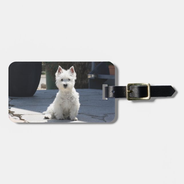 Étiquette À Bagage White West Highland Terrier assis sur le trottoir (Devant horizontal)