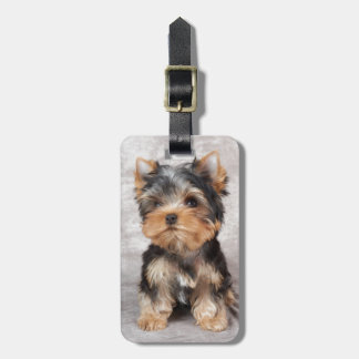 Étiquette À Bagage Yorkie merveilleux