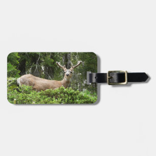 Étiquette À Bagage Yosemite Deer Nature Photographie