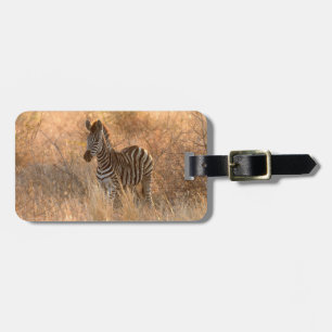Étiquette À Bagage Zèbre photo de la faune Afrique Safari animal