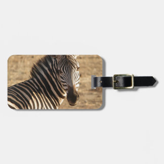 Étiquette À Bagage Zèbre sur la savane