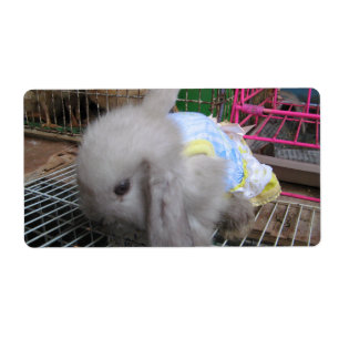 Étiquette A Rabbit in a Dress