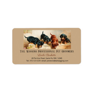Étiquette Adorable Mignonne Doxies Dachshund Puppy Pet Groom