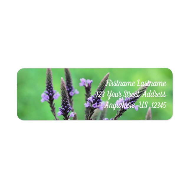 Étiquette Adresse de la fleur de vervain pourpre sauvage (Devant)