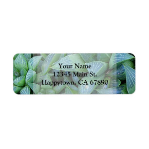 Étiquette Adresse de Plante Succulent de Hworth Vert Personn
