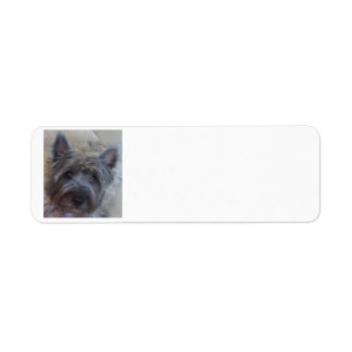 Étiquette Adresse de retour Amoureux des chiens
