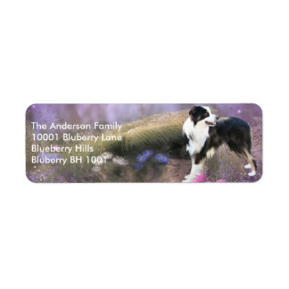 Étiquette Adresse de Retour Border Collie