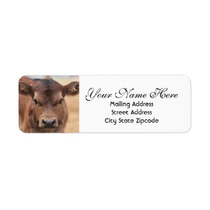 Étiquette Adresse de retour Brown de veau adorable