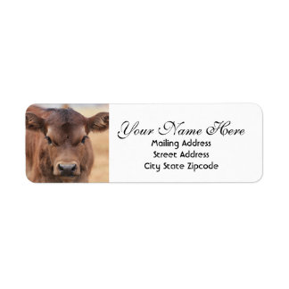 Étiquette Adresse de retour Brown de veau adorable