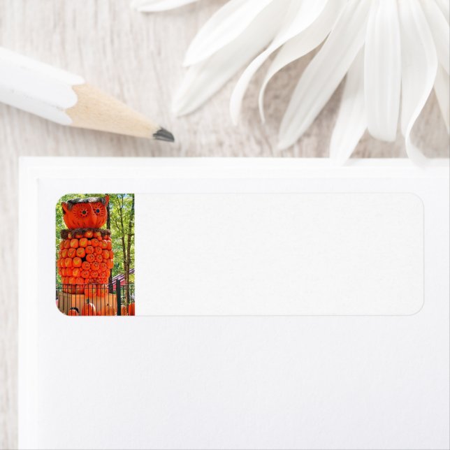 Étiquette Adresse de retour des Citrouilles de hib (En situation)