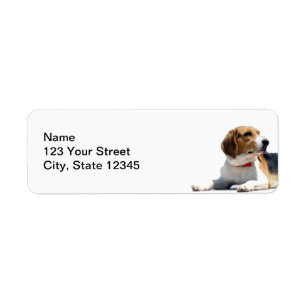 Étiquette Adresse de retour noire de chien de beagle de brun