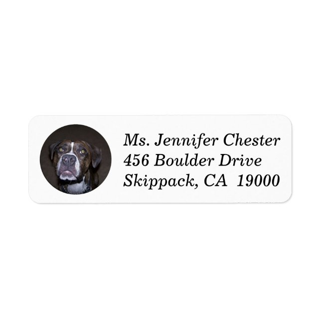 Étiquette Adresse de retour personnalisée de Chien-taureau (Devant)