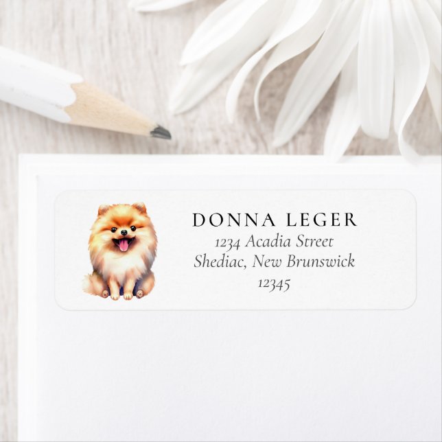 Étiquette Adresse du chien de Poméranie (En situation)