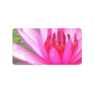 Étiquette Adresse vide de Namaste de tranquilité de Lotus